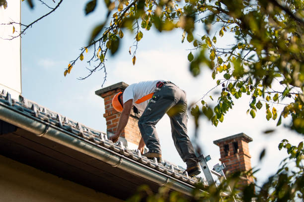 Best Flat Roof Repair Services  in Lindsay, TX